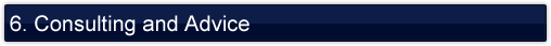 6. Consulting and Advice